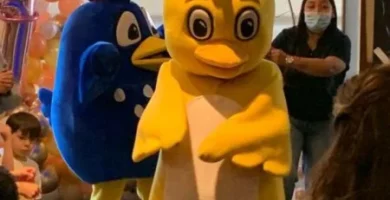 show gallina pintadita