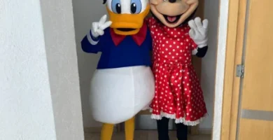 show pato donald