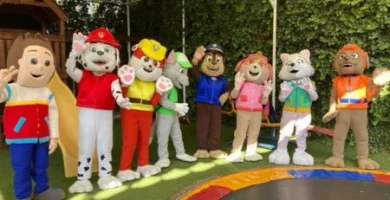 show paw patrol